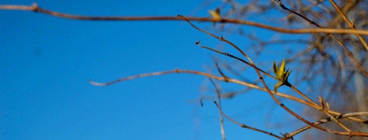 milla_jarvinen_blogi_2