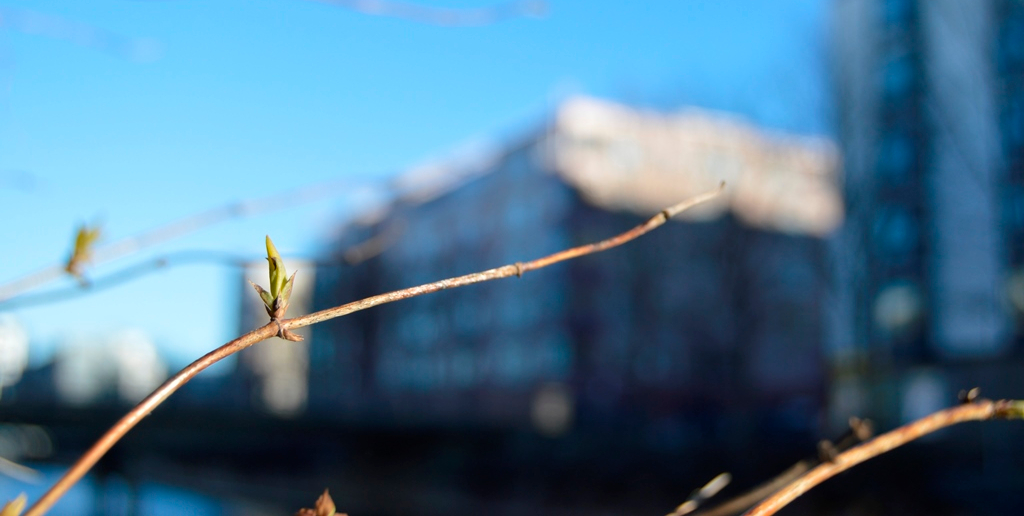 Toiminimen_perustaminen_blogin_tausta