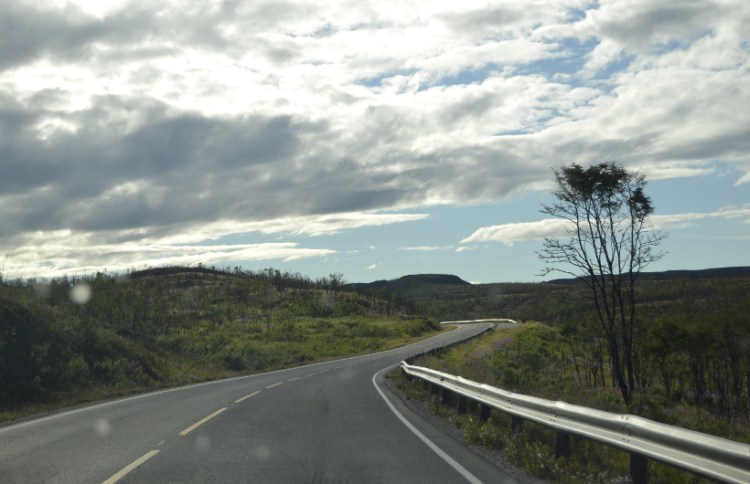 toiminimen perustaminen - tutkittavaa riittää