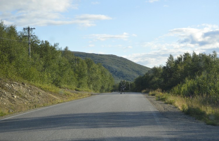 toiminimen perustaminen - yllätyksiä