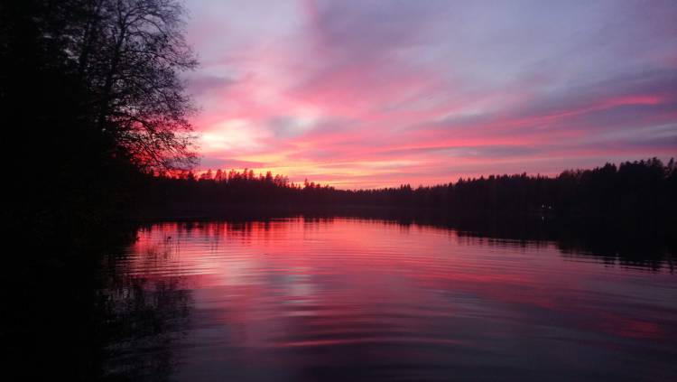 Kuinka-saada-asiakkaita