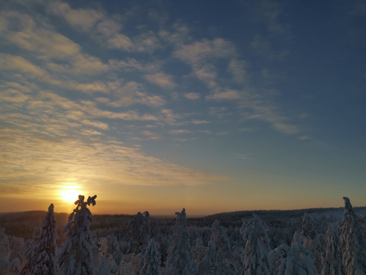 Toiminimen lopettaminen
